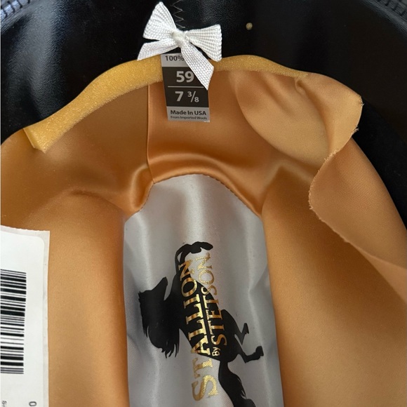 Stetson Black and Brown Cowboy Hat - Picture 5 of 5